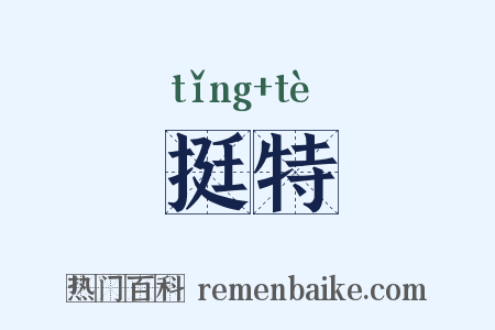 挺特是什么意思的图片
